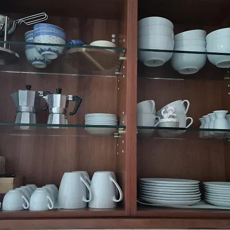 Schmallenberger Mauerbluemchen