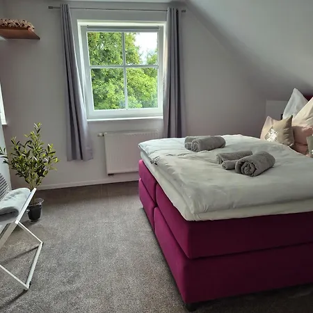 Schmallenberger Mauerbluemchen