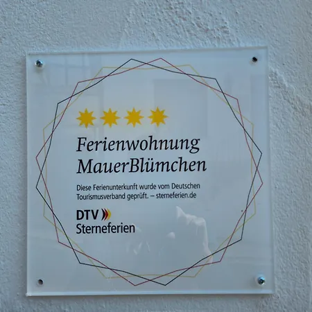 Schmallenberger Mauerbluemchen シュマレンベルク