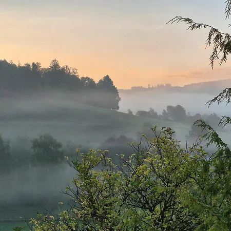 Schmallenberger Mauerbluemchen *