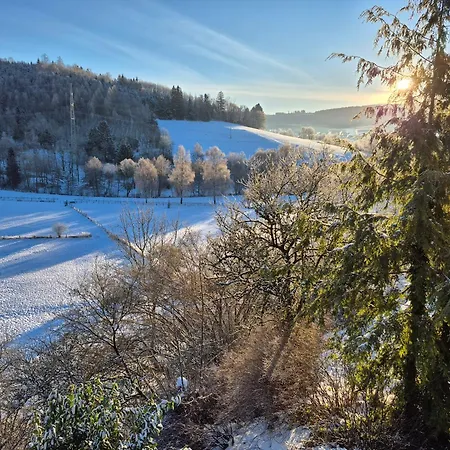 Schmallenberger Mauerbluemchen شقة سشمالنبرغ