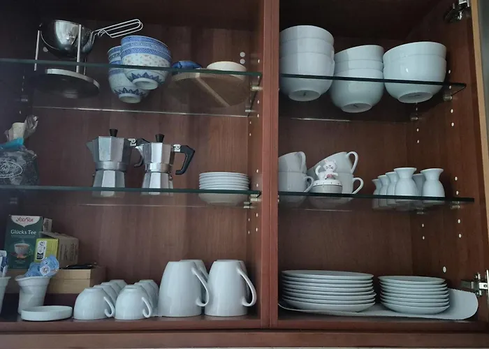 Schmallenberger Mauerbluemchen