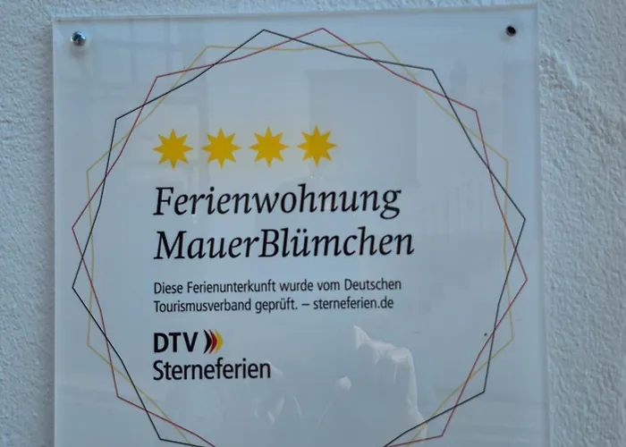 Schmallenberger Mauerbluemchen سشمالنبرغ