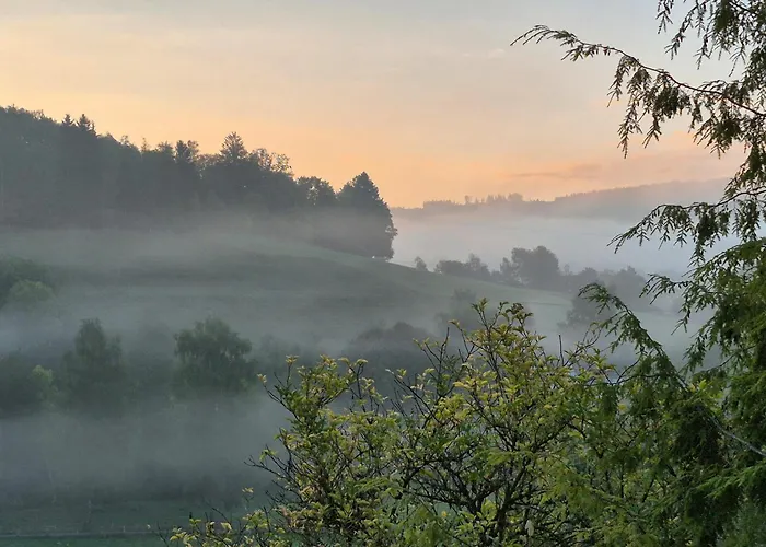 Schmallenberger Mauerbluemchen *
