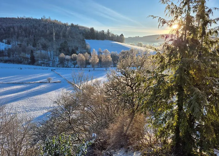Schmallenberger Mauerbluemchen شقة سشمالنبرغ